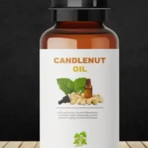 Candlenut Oil Dokta Herbal UK