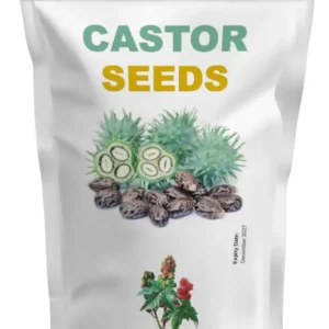Castor Seeds Dokta Herbal UK