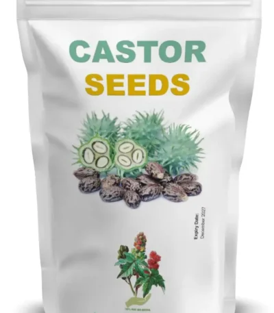 Castor Seeds Dokta Herbal UK