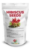 Hibiscus Seeds Dokta Herbal UK