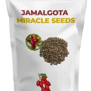 Jamalgota Miracle Seeds Dokta Herbal UK
