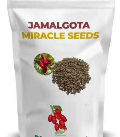 Jamalgota Miracle Seeds Dokta Herbal UK