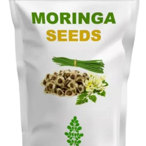 Moringa Seeds Dokta Herbal UK