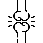 Joint, Bone & Muscles