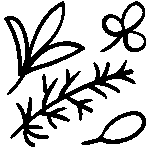 Natural & Alternative Remedies