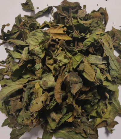 Senna Leaf/Leaves Sana Makki Leaf 50gms Organic Dried Pure Senna Leaf free P&P