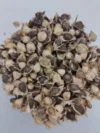 Moringa seeds 200 +, Natural Raw Organic Herb Non-Gmo vitamins immune