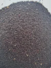 Amaranth - Green Giant, Terere, Mchicha, - Seeds good for salads - Image 2