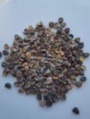Hibiscus Sabdariffa, seeds, Roselle Tea, Belchanda free P&P - Image 4