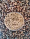 Jamalgota, Powder , Croton Tiglium, Pavana, miracle, Ghana seed Powder - Image 4