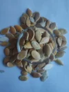 Pumpkin Seeds Sweet Seeds Spanish Mishti Kodu 100% ORGANIC - Image 2