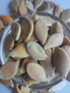 Pumpkin Seeds Sweet Seeds Spanish Mishti Kodu 100% ORGANIC - Image 4